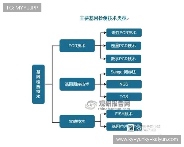 黄金左翼与电竞美学的融合探索：足球基因赋能虚拟竞技的命名密码