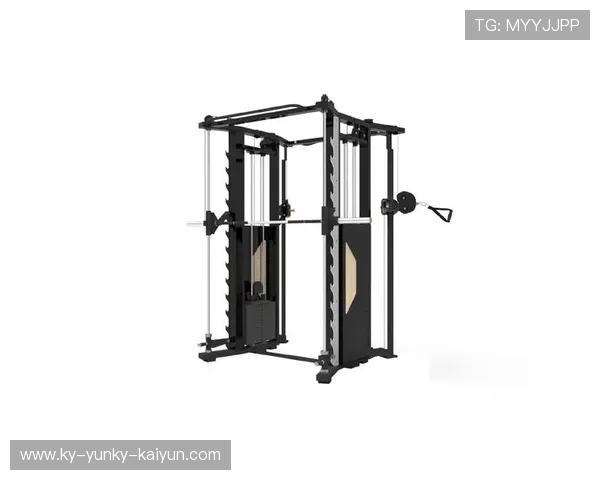 练背健身器材：专为背部训练设计的健身器材推荐