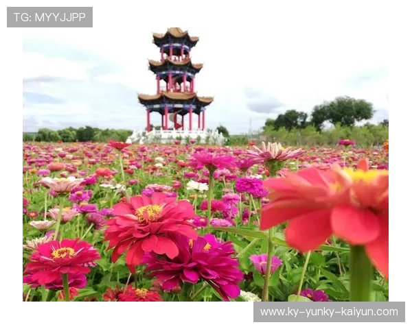 鼓浪听涛冬泳曲厦门人的海洋健身之道